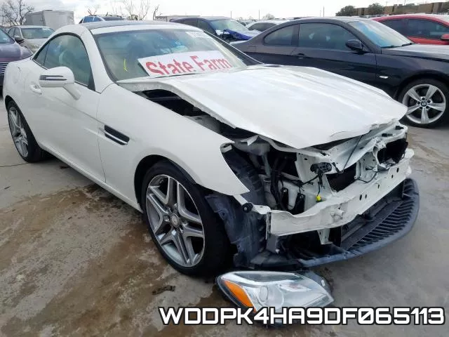 WDDPK4HA9DF065113