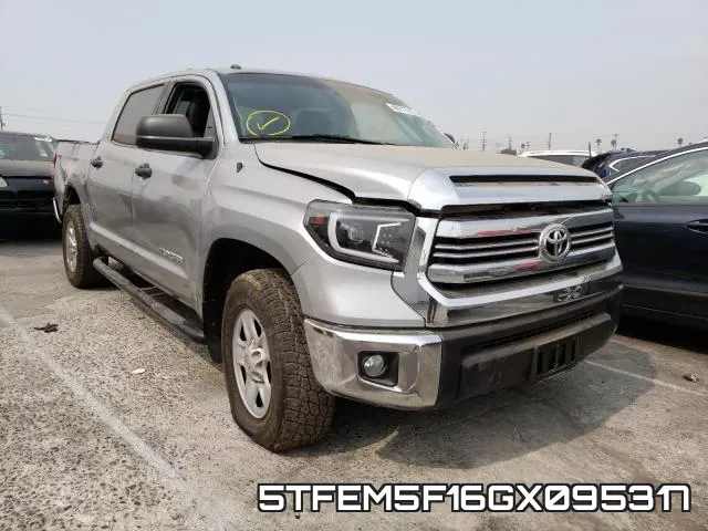 5TFEM5F16GX095317