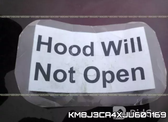 KM8J3CA4XJU607169_10.webp