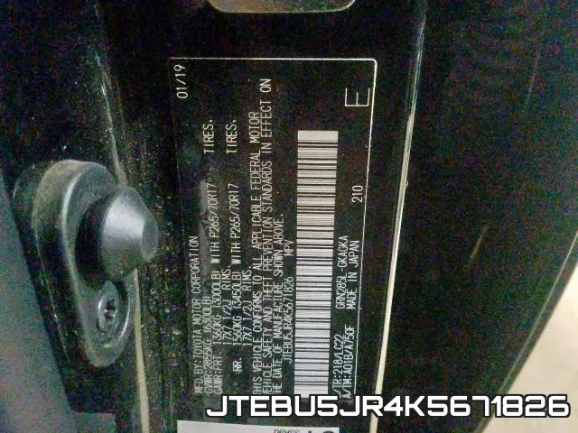 JTEBU5JR4K5671826_10.webp