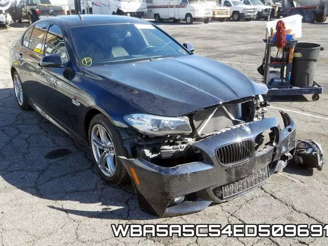 WBA5A5C54ED509691