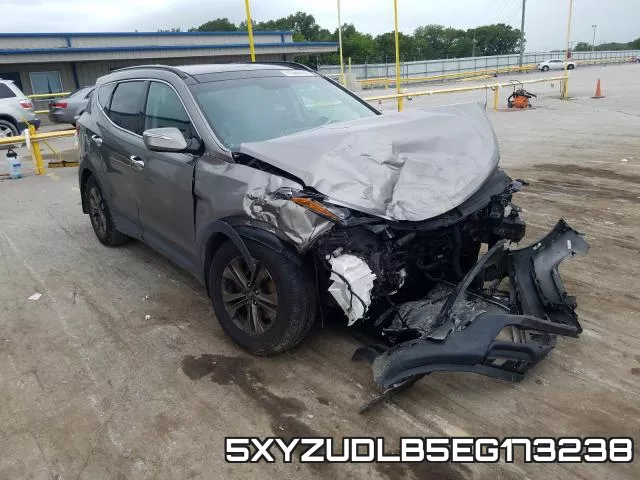 5XYZUDLB5EG173238