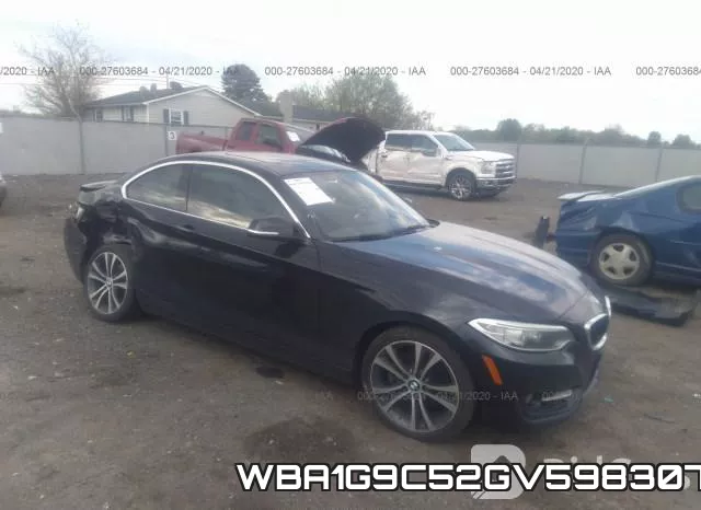 WBA1G9C52GV598307