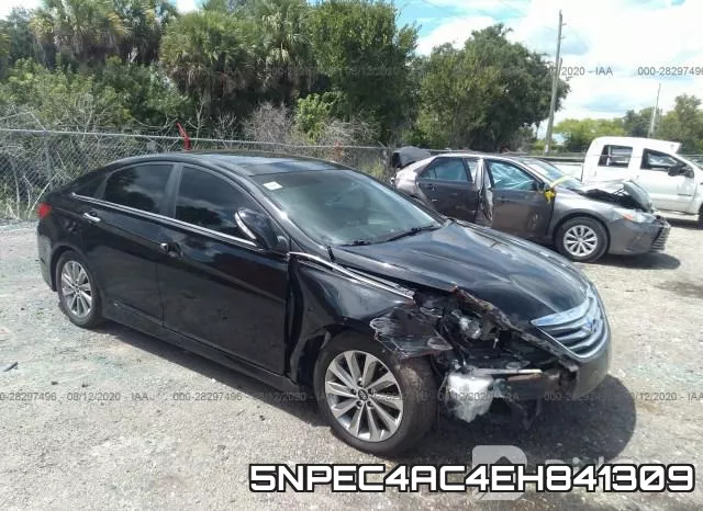 5NPEC4AC4EH841309