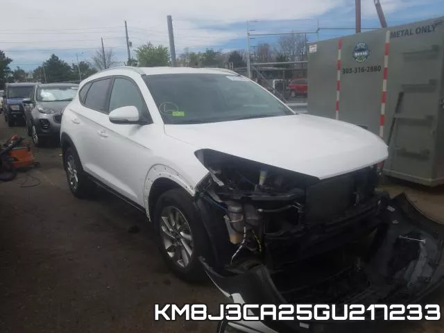 KM8J3CA25GU217233
