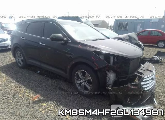 KM8SM4HF2GU134987