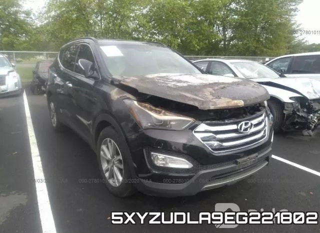 5XYZUDLA9EG221802