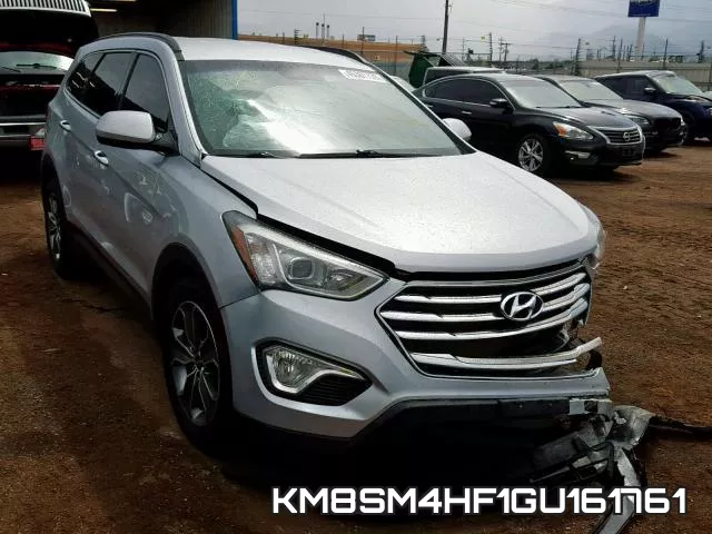 KM8SM4HF1GU161761