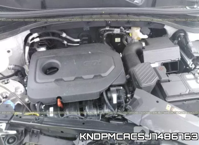 KNDPMCAC5J7486763_10.webp