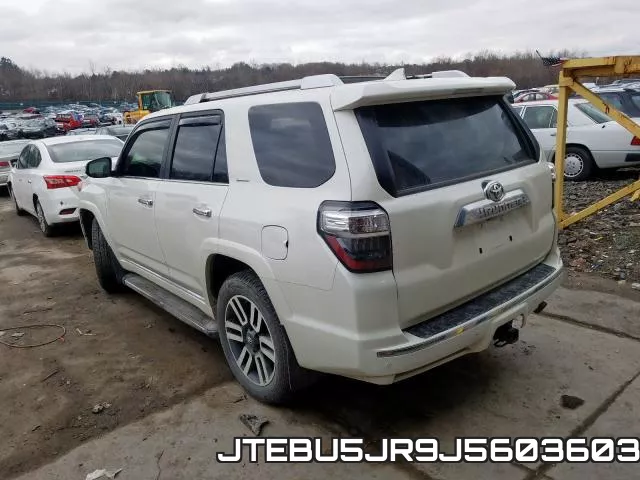 JTEBU5JR9J5603603_3.webp
