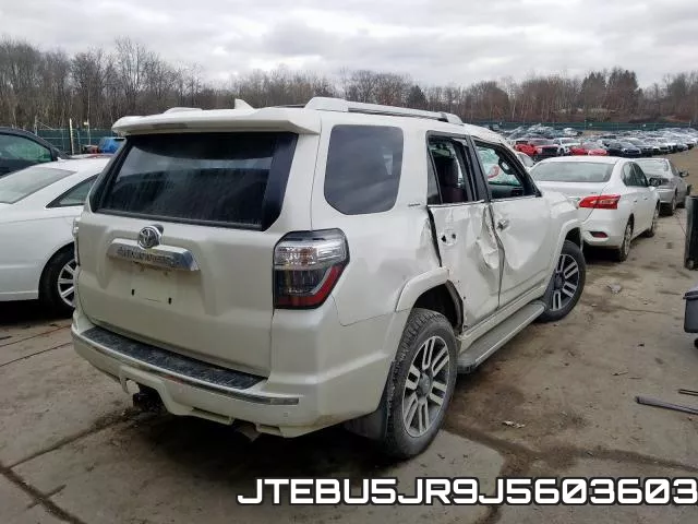 JTEBU5JR9J5603603_4.webp