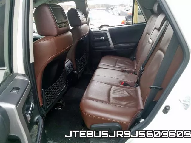 JTEBU5JR9J5603603_6.webp