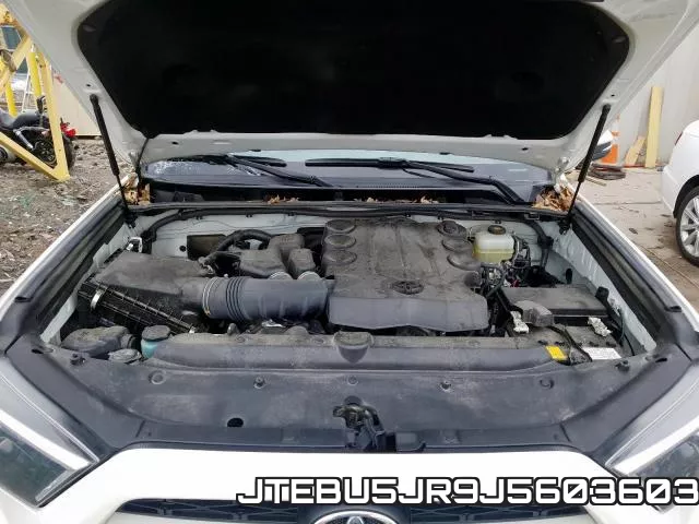 JTEBU5JR9J5603603_7.webp