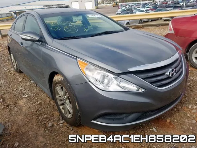 5NPEB4AC1EH858202