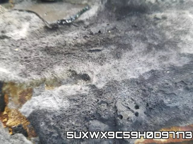 5UXWX9C59H0D97173_8.webp