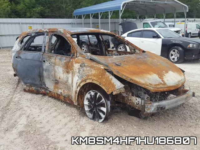 KM8SM4HF1HU186807_1.webp
