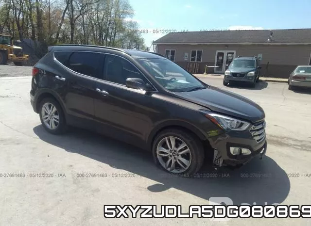 5XYZUDLA5DG080869