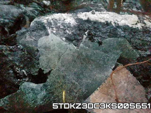 5TDKZ3DC3KS005651