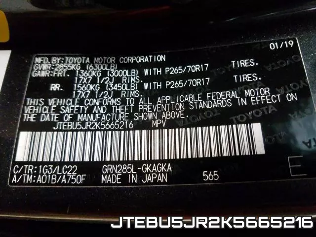 JTEBU5JR2K5665216_10.webp