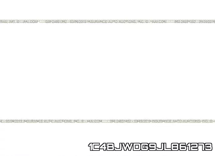 1C4BJWDG9JL861273_10.webp