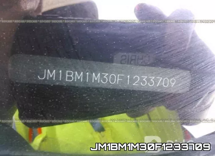 JM1BM1M30F1233709