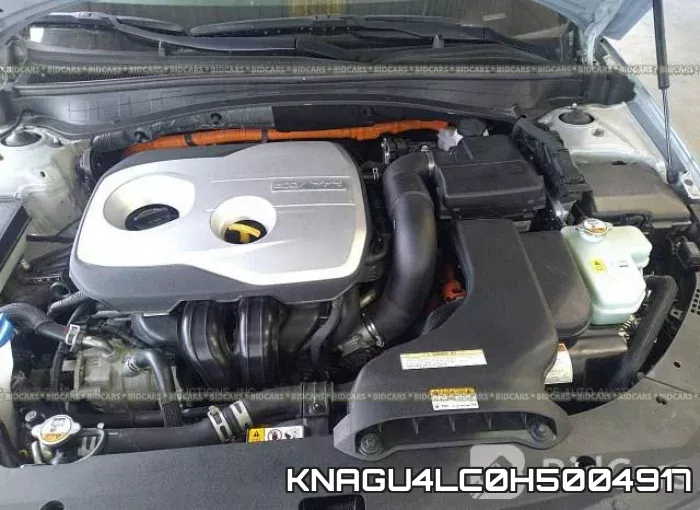 KNAGU4LC0H5004917