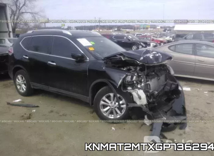KNMAT2MTXGP736294