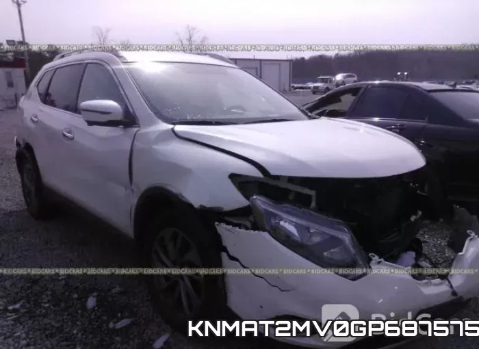 KNMAT2MV0GP687575