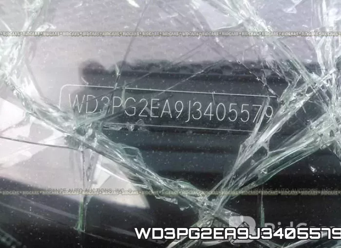 WD3PG2EA9J3405579_9.webp