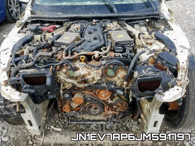JN1EV7AP6JM591797_7.webp