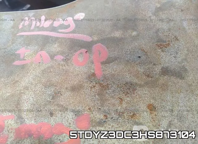 5TDYZ3DC3HS873104_7.webp