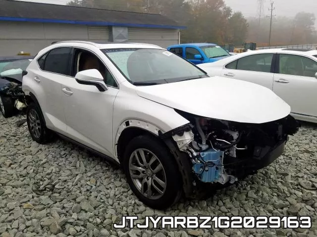 JTJYARBZ1G2029163