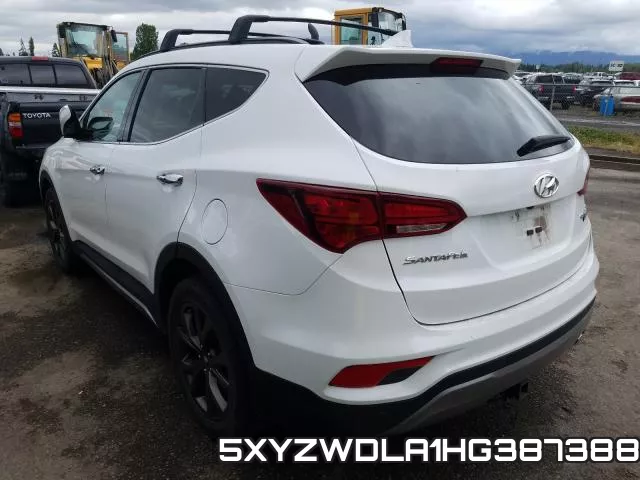 5XYZWDLA1HG387388_3.webp
