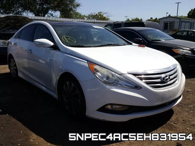 5NPEC4AC5EH831954