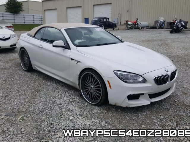 WBAYP5C54EDZ28085