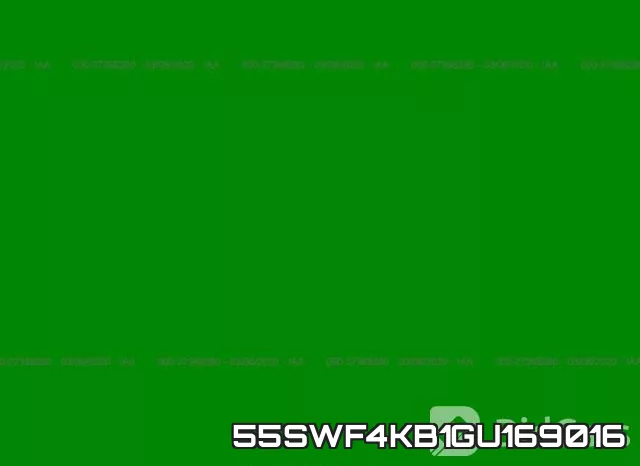 55SWF4KB1GU169016