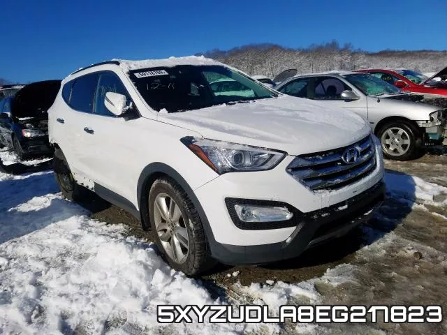 5XYZUDLA8EG217823