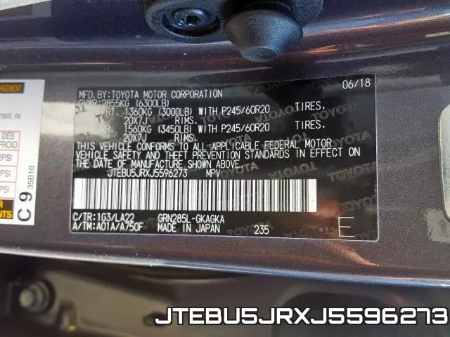 JTEBU5JRXJ5596273_10.webp
