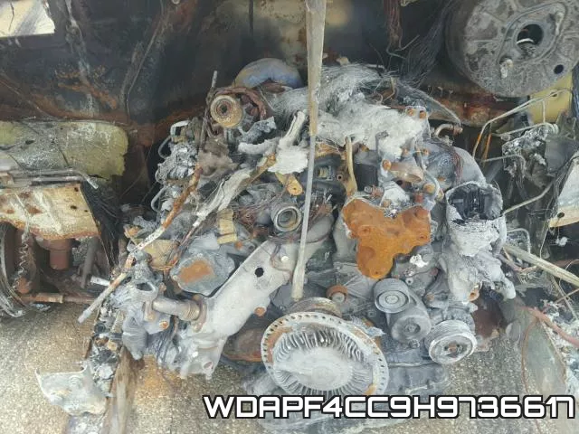 WDAPF4CC9H9736617_7.webp