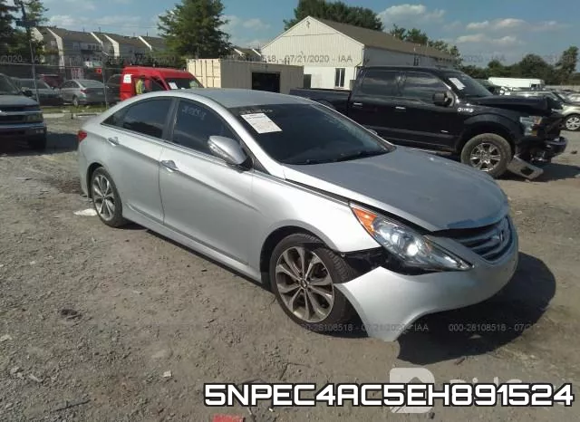 5NPEC4AC5EH891524
