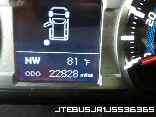 JTEBU5JR1J5536365