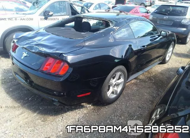 1FA6P8AM4H5286252_4.webp