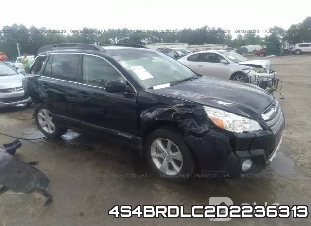 4S4BRDLC2D2236313
