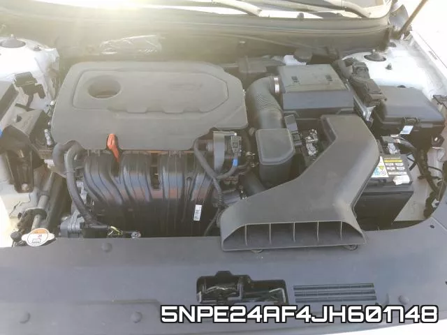 5NPE24AF4JH601748_7.webp