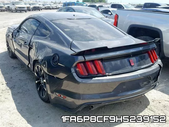 1FA6P8CF9H5239152_3.webp