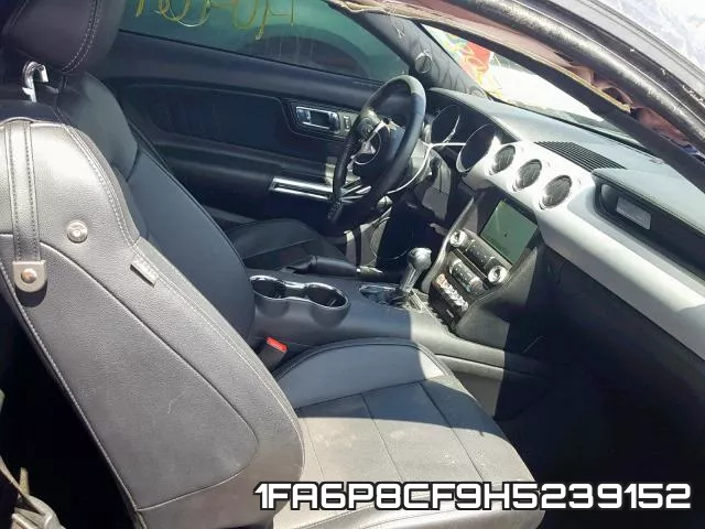 1FA6P8CF9H5239152_5.webp
