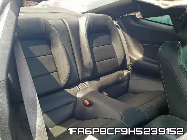 1FA6P8CF9H5239152_6.webp