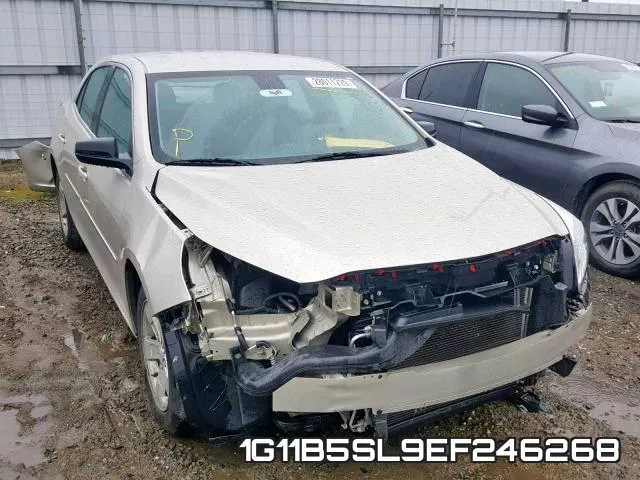 1G11B5SL9EF246268