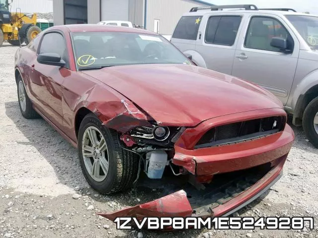 1ZVBP8AM1E5249287