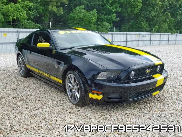1ZVBP8CF9E5242537